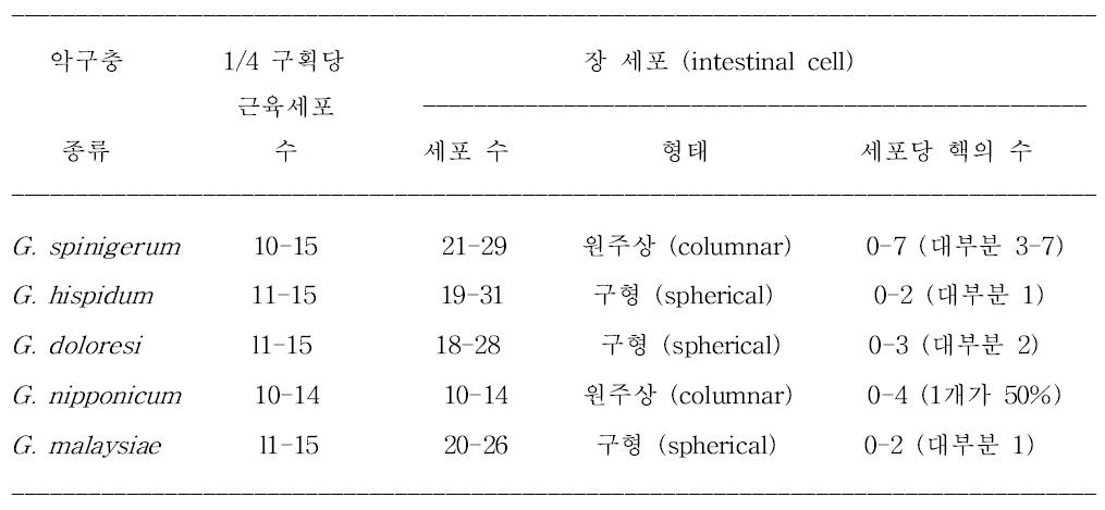 생검물 조직절편 표본에서 악구충증 감별진단을 위한 유충 횡단면의 형태학적 특징 비교