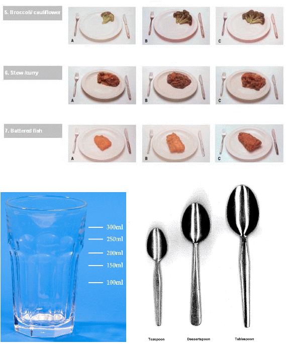 그림 5. 영국 NDNS에서 사용하는 pre-weighed images for portion sizes