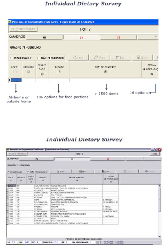 그림 8. 브라질의 식이섭취량 조사 입력 시스템