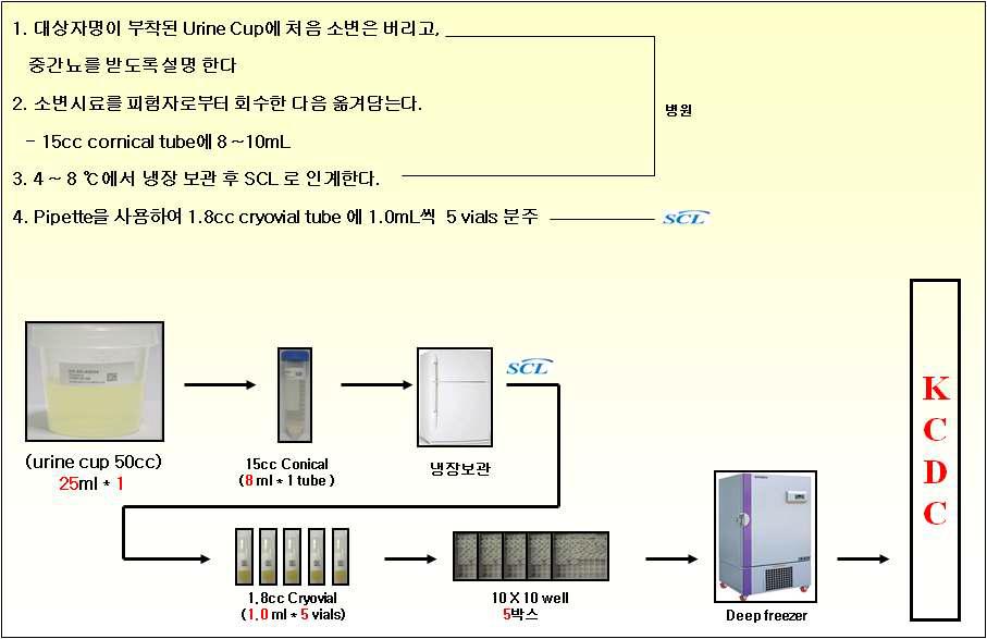 뇨검사 과정