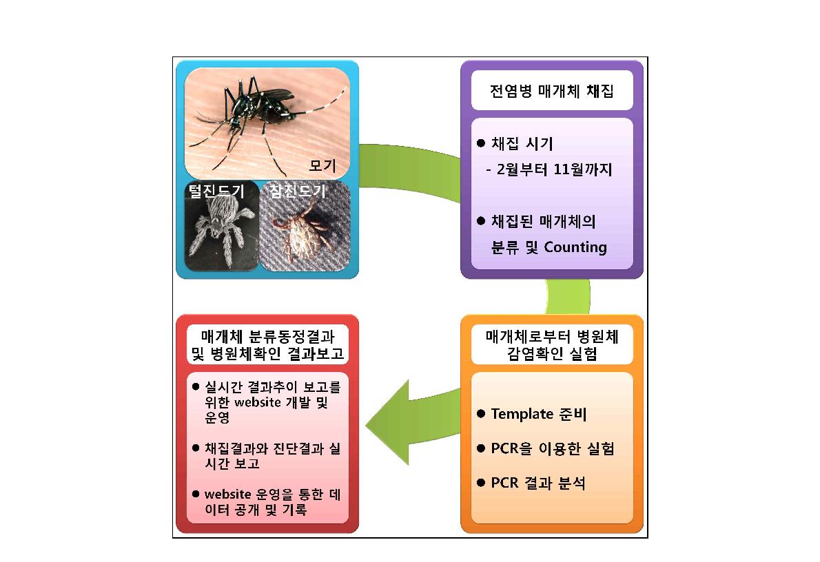 연구수행체계 모식도