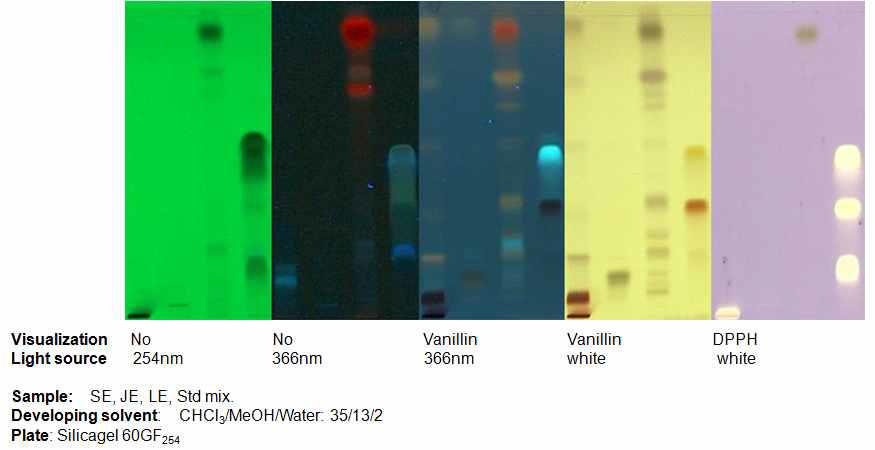 TLC Separation of ethanol fractions from Sea buckthorn 2