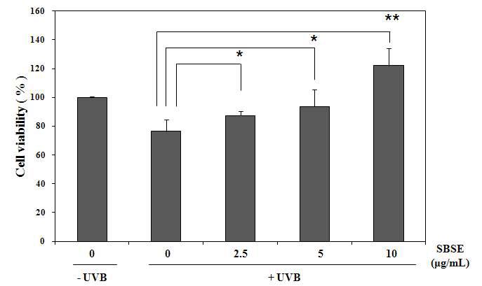 Effect of SBSE on the cell viability of skin fibroblasts exposed to UVB radiation at 30 mJ/cm2,determined using the MTT assay