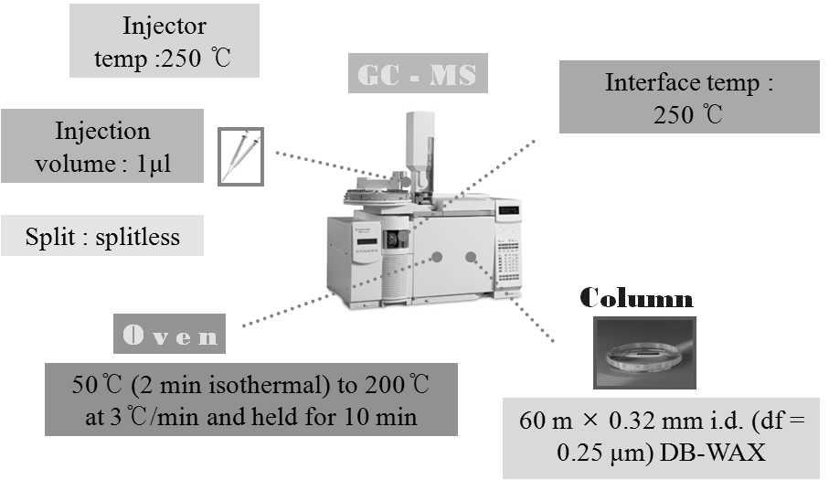 Condition of GC-MS analysis