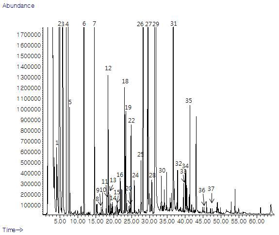 GC Chromatogram for volatile compounds of Control beer by SAFE