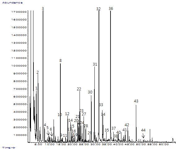 GC Chromatogram for volatile compounds of Pale ale(3%) by SAFE