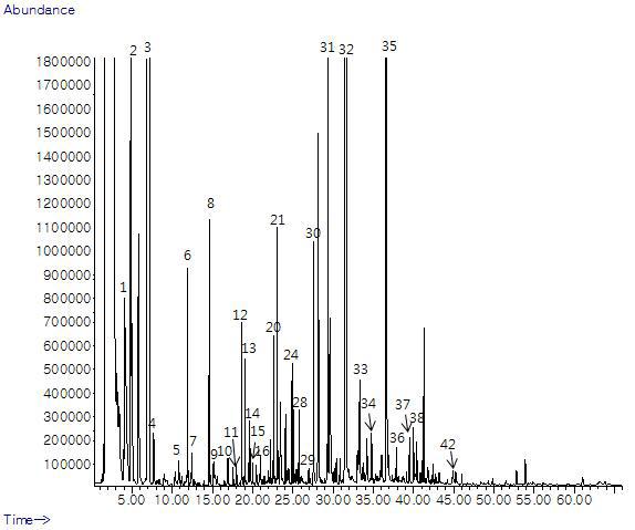 GC Chromatogram for volatile compounds of Pale ale by SAFE