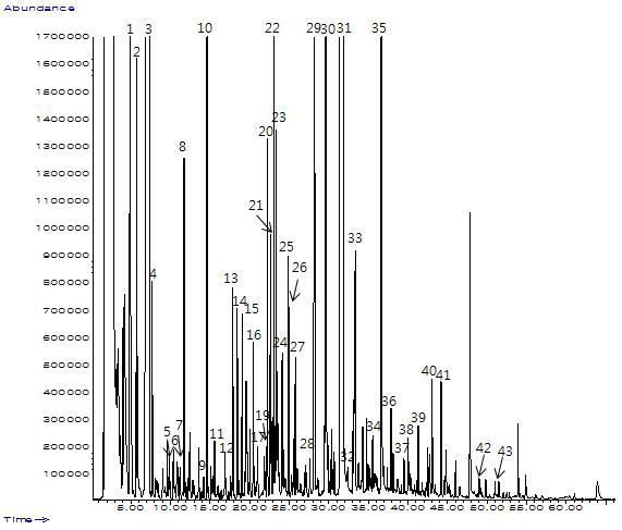 GC Chromatogram for volatile compounds of Golden ale(3%) by SAFE