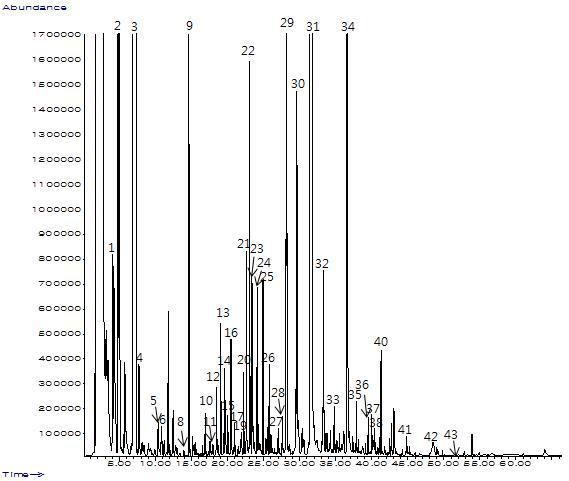 GC Chromatogram for volatile compounds of Golden ale by SAFE