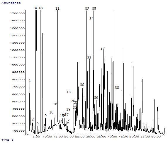 GC Chromatogram for volatile compounds of control beer by SPME