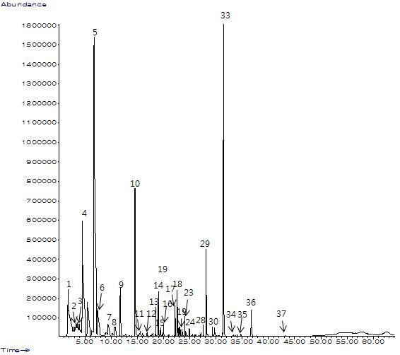 GC Chromatogram for volatile compounds of Pale ale(3%) by SPME