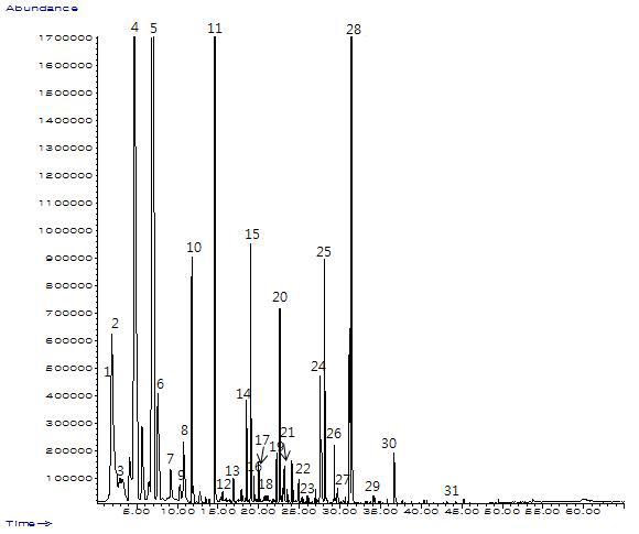 GC Chromatogram for volatile compounds of Pale ale by SPME