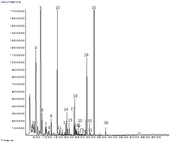 GC Chromatogram for volatile compounds of Golden ale(3%) by SPME