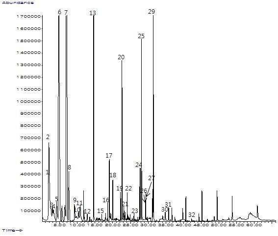 GC Chromatogram for volatile compounds of Golden aleby SPME