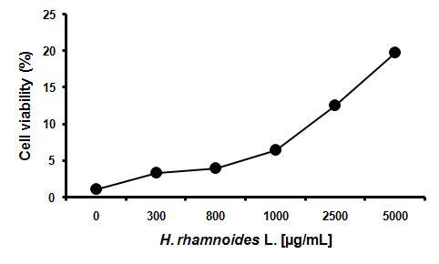 Protective effect of H. rhamnoides fruit extract on DNA damaged cells induced by DNA alkylating agent