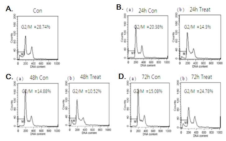 H. rhamnoides fruit extract inhibits AGS cell proliferation through the cell cycle arrest