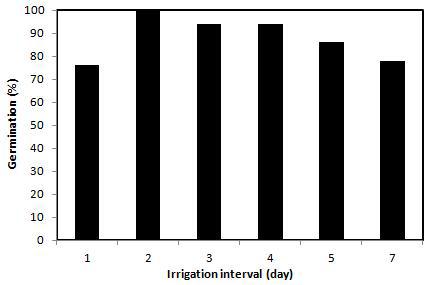 Germination of H. rhamnoides seeds with different irrigation intervals