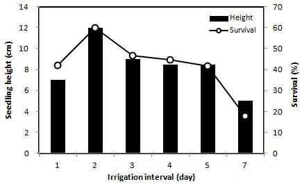 Height and survival of H. rhamnoides seedlings with different irrigation intervals