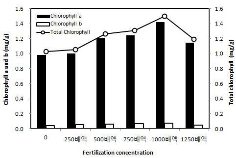 Chlorophyll contents of H. rhamnoides seedlings by various fertilization condition.