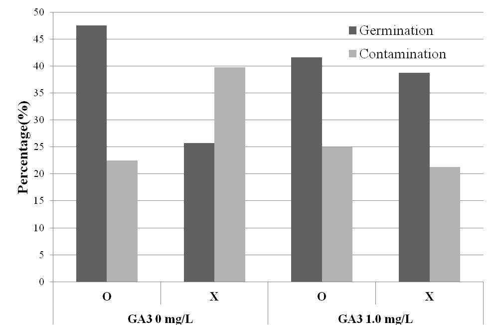 Effects of GA3 and Filterpaper for Germination on White media