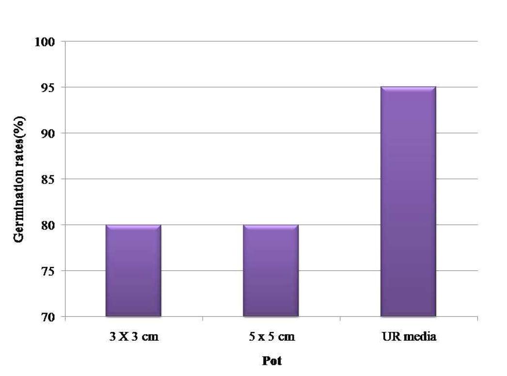 Effect of pot germination rates(%) on clone (M1) of H. rhamnoides