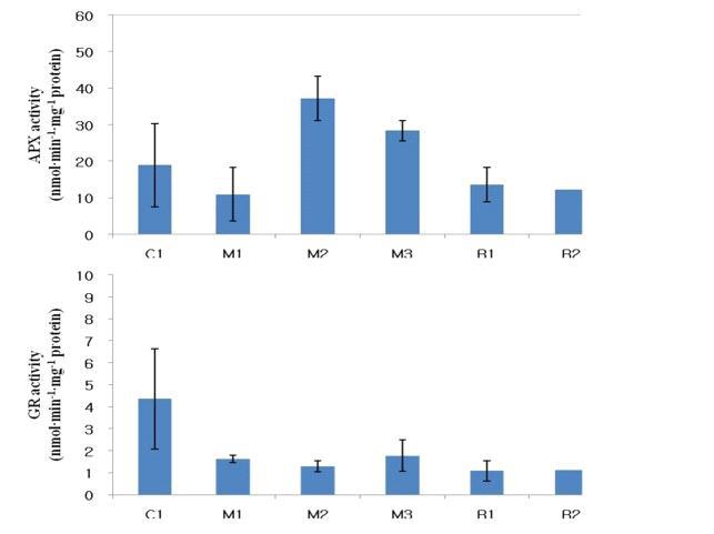 Antioxidative enzyme activities of H. rhamnoides on different clones