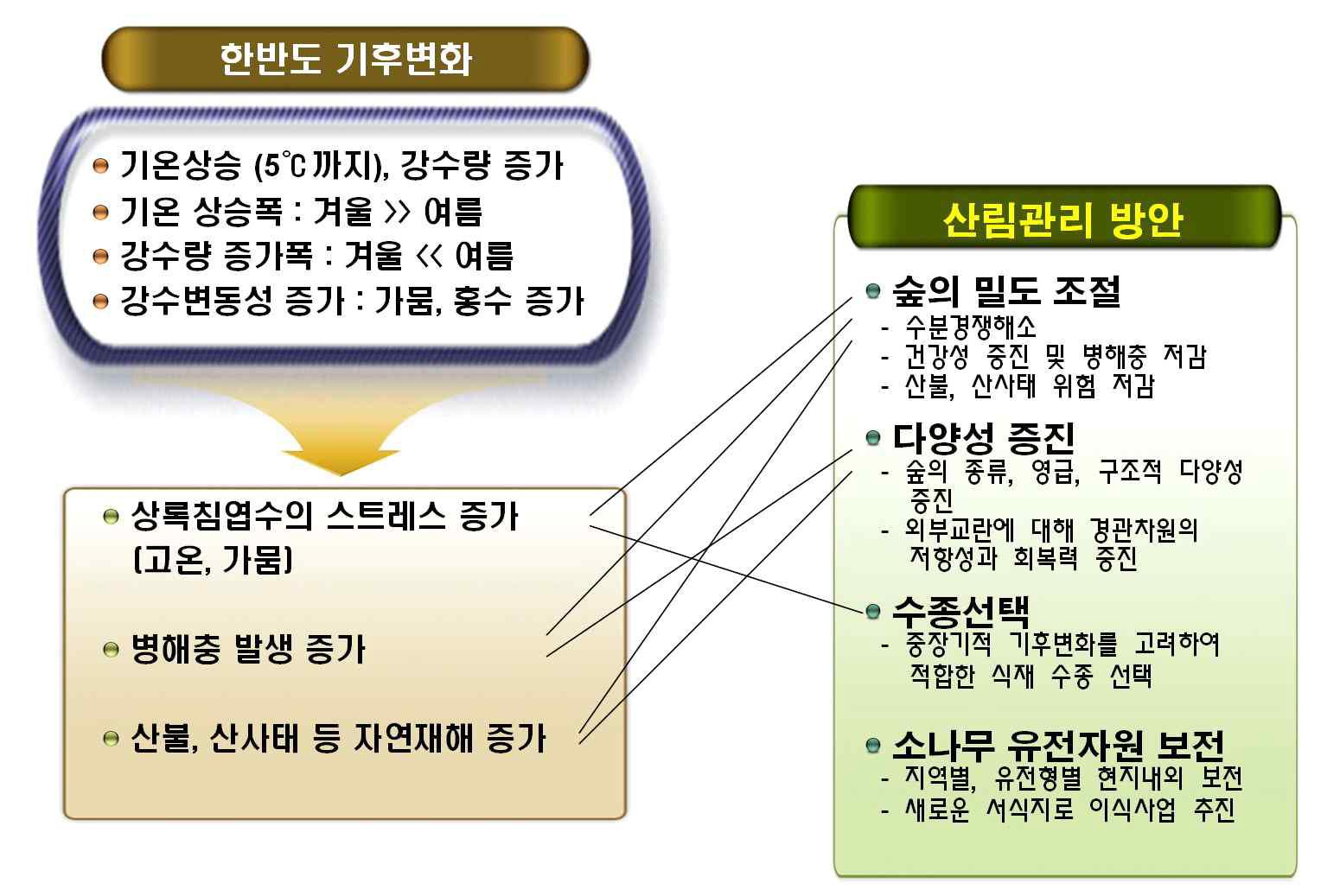 기후변화에 따른 소나무림 쇠퇴현상과 이에 대한 적응을 위한 우리나라 산림관리 방안