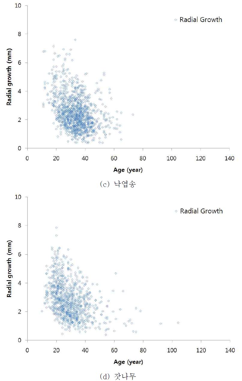 수종별 연령에 따른 반경연령생장량 분포(낙엽송, 잣나무)