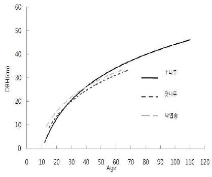연령의 증가에 따른 흉고직경의 변화(좌)