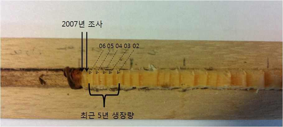 연륜생장정보의 생장량 선정 방법