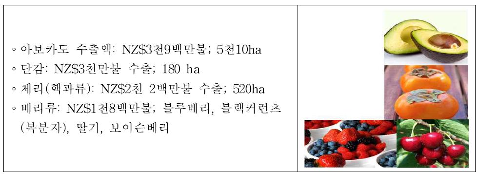 뉴질랜드 기타 과실류 동향