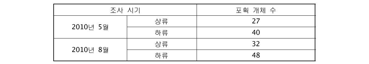 맞춤형 테트라블록 설치에 따른 수서생물(다슬기)의 소상영향 분석 결과