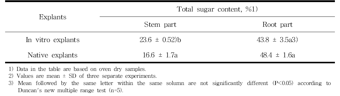 Total sugar content between native and in vitro cultivated at different A. victorialis