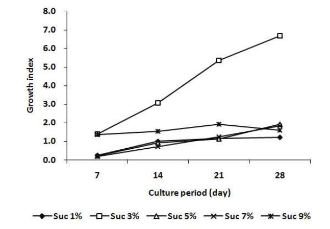 Effect of sucrose concentration on shoot growth on MS solid medium for 4 weeks.
