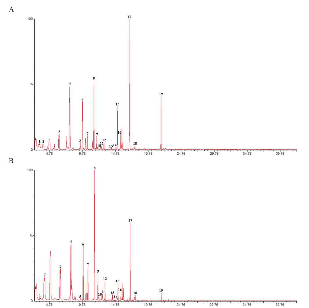 Gas chromatogram of Allium victorialis var. platyphyllum from Chamaecyparis obtusa at planting season (A : 2010 years; B: 2011 years)