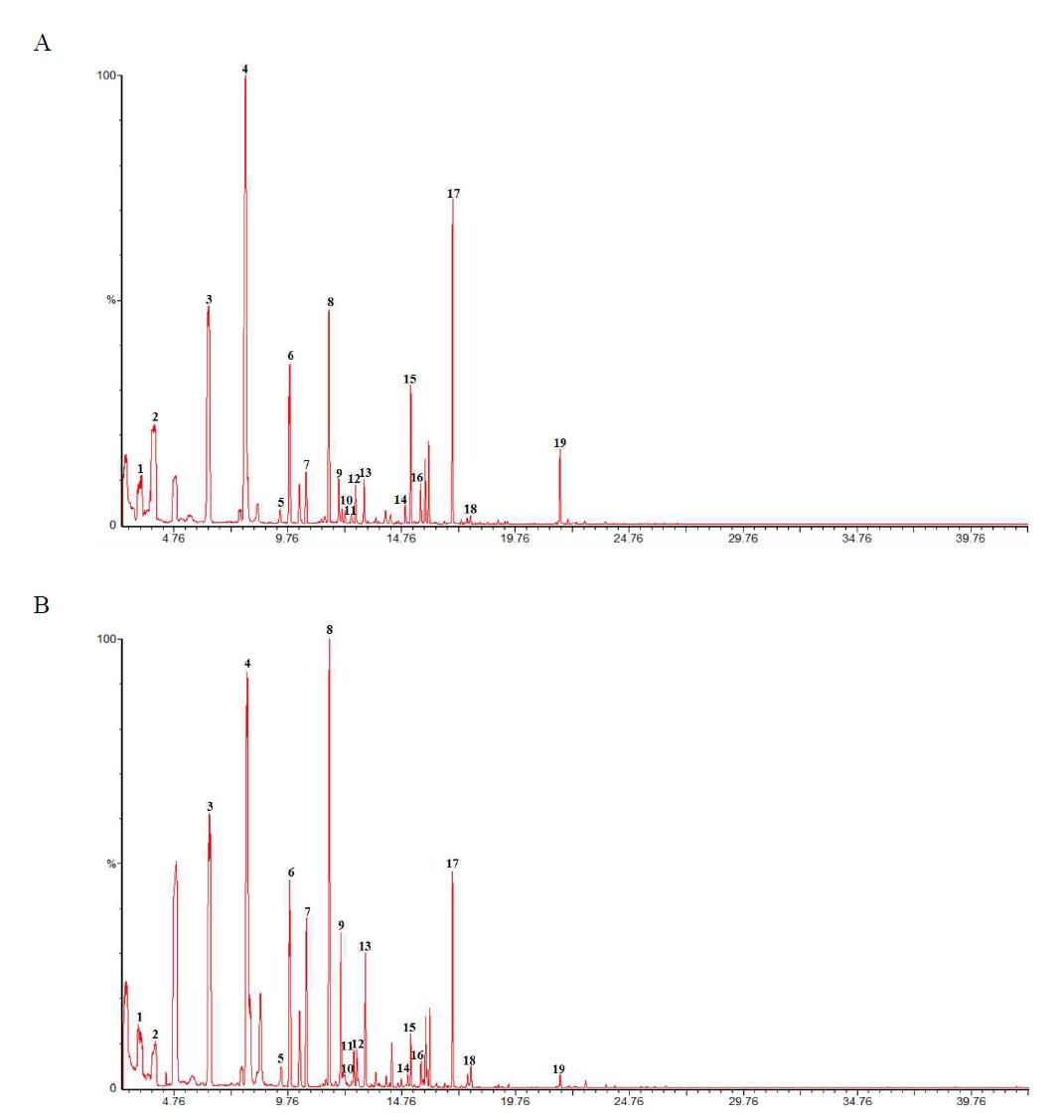 Gas chromatogram of Allium victorialis var. platyphyllum from Acer palmatum at planting season. (A : 2010 years; B: 2011 years)