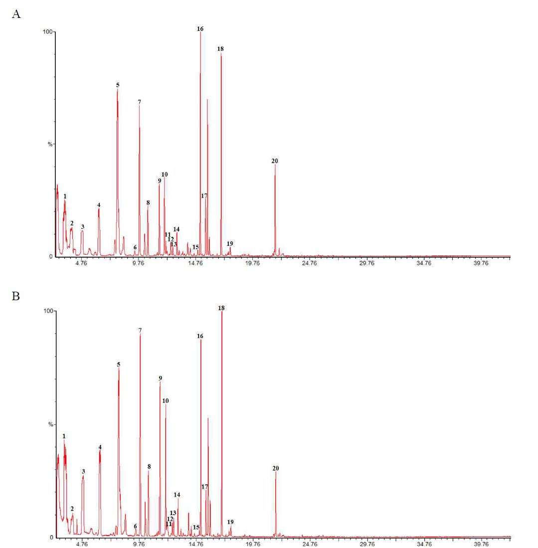 Gas chromatogram of Allium victorialis var. platyphyllum from bare ground at planting season (A : 2010 years; B: 2011 years)