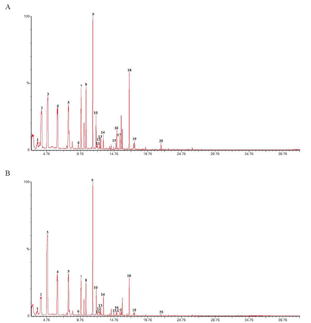 Gas chromatogram of Allium victorialis var. platyphyllum from Pinus koraiensis 1 at planting season (A : 2010 years; B: 2011 years)