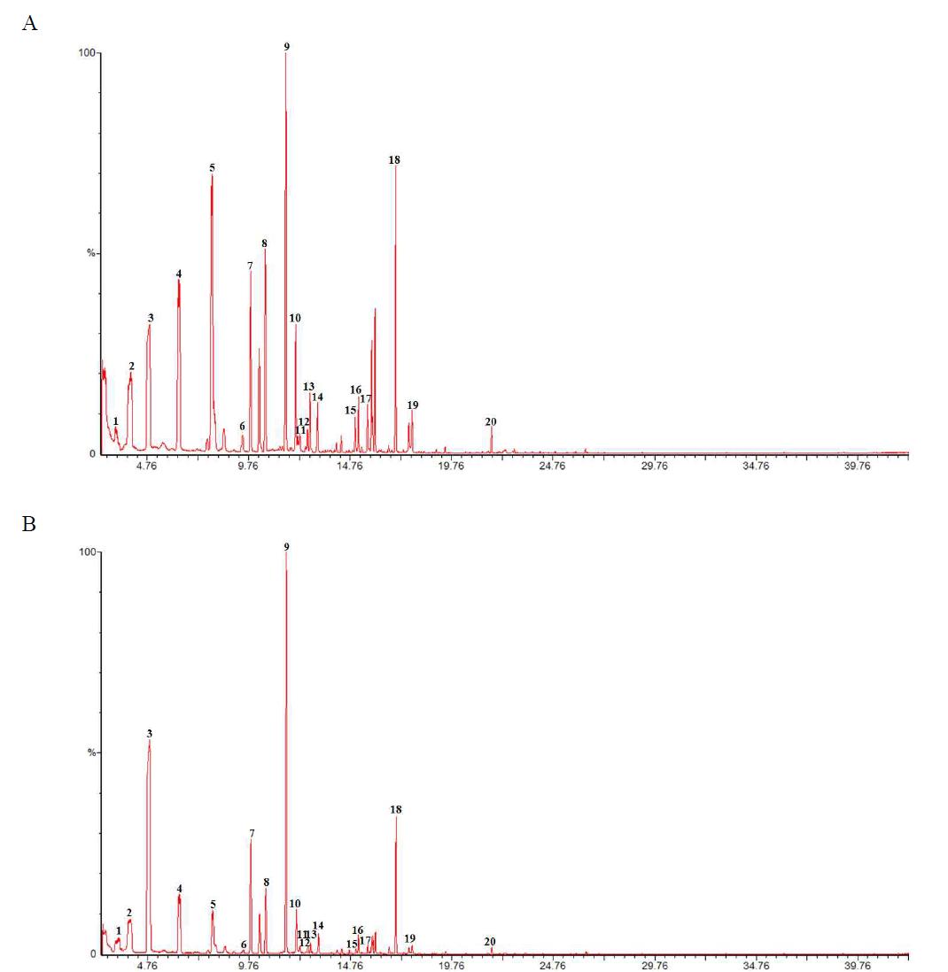 Gas chromatogram of Allium victorialis var. platyphyllum from Pinus koraiensis 2 at planting season (A : 2010 years; B: 2011 years)