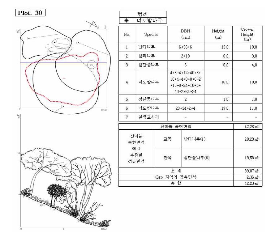 조사지 30의 수관투영도(왼쪽 위) 및 입면도(왼쪽 아래), 조사지에 나타나는 수종의 흉고직 경과 수고(오른쪽 위), 그리고 산마늘 출현면적(오른쪽 아래).