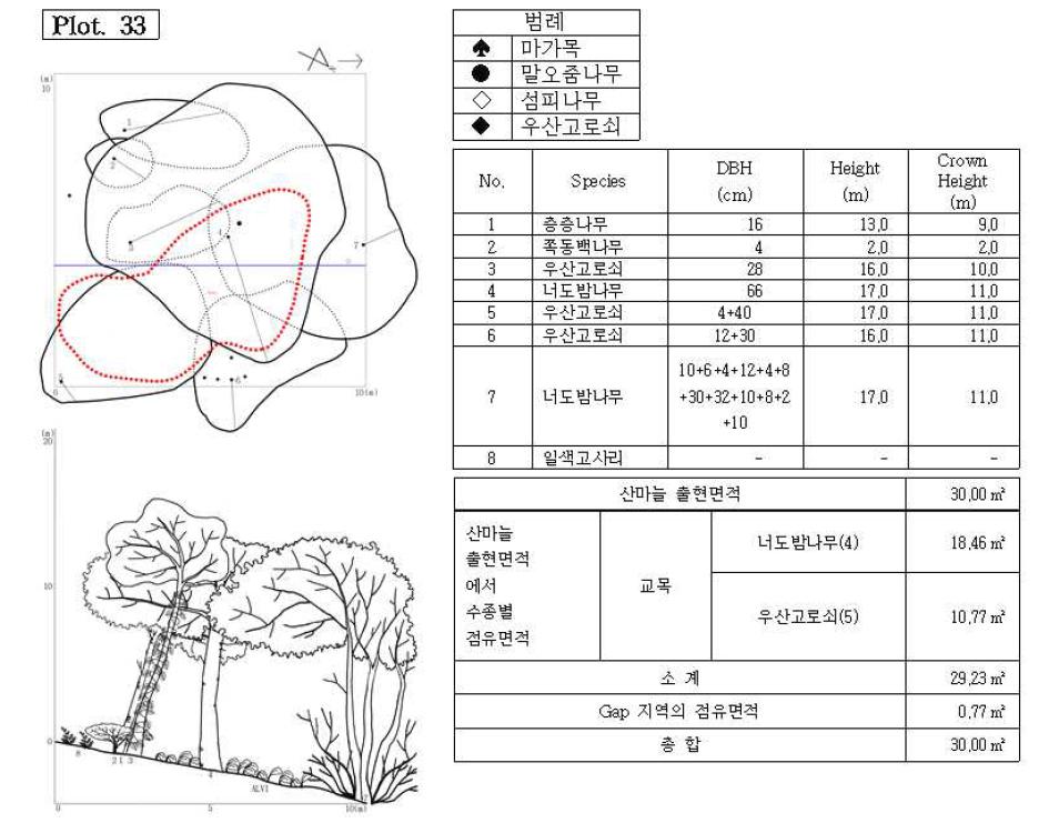 조사지 33의 수관투영도(왼쪽 위) 및 입면도(왼쪽 아래), 조사지에 나타나는 수종의 흉고직 경과 수고(오른쪽 위), 그리고 산마늘 출현면적(오른쪽 아래).