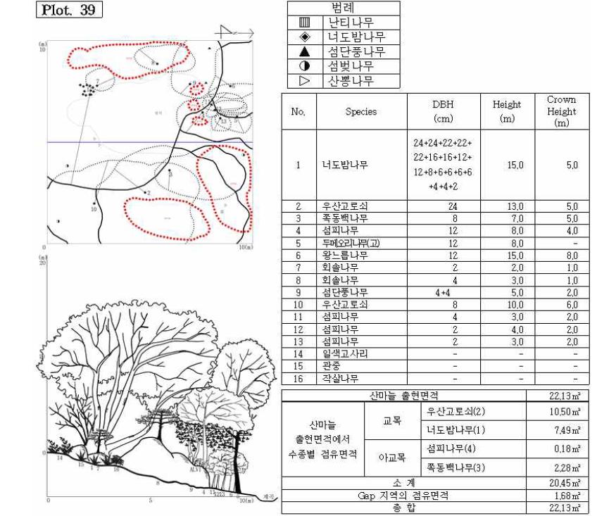 조사지 39의 수관투영도(왼쪽 위) 및 입면도(왼쪽 아래), 조사지에 나타나는 수종의 흉고직 경과 수고(오른쪽 위), 그리고 산마늘 출현면적(오른쪽 아래).