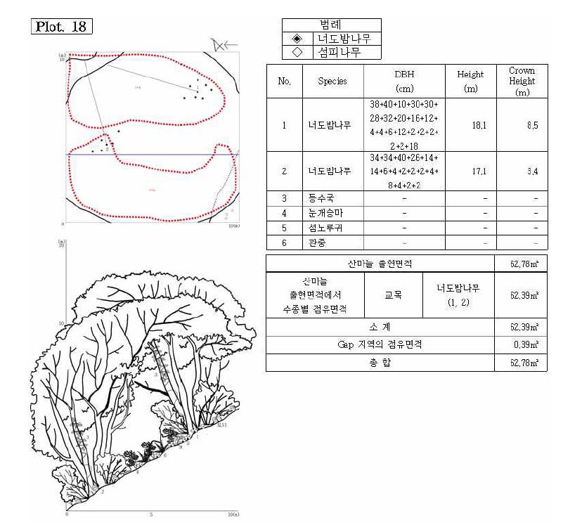 조사지 18의 수관투영도(왼쪽 위) 및 입면도(왼쪽 아래), 조사지에 나타나는 수종의 흉고직 경과 수고(오른쪽 위), 그리고 산마늘 출현면적(오른쪽 아래).