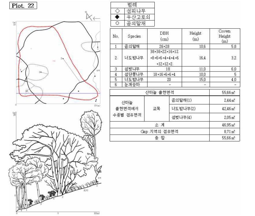 조사지 22의 수관투영도(왼쪽 위) 및 입면도(왼쪽 아래), 조사지에 나타나는 수종의 흉고직 경과 수고(오른쪽 위), 그리고 산마늘 출현면적(오른쪽 아래).
