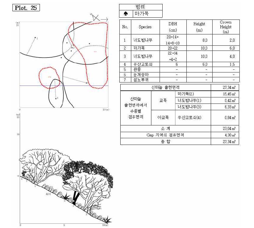 조사지 25의 수관투영도(왼쪽 위) 및 입면도(왼쪽 아래), 조사지에 나타나는 수종의 흉고직 경과 수고(오른쪽 위), 그리고 산마늘 출현면적(오른쪽 아래).