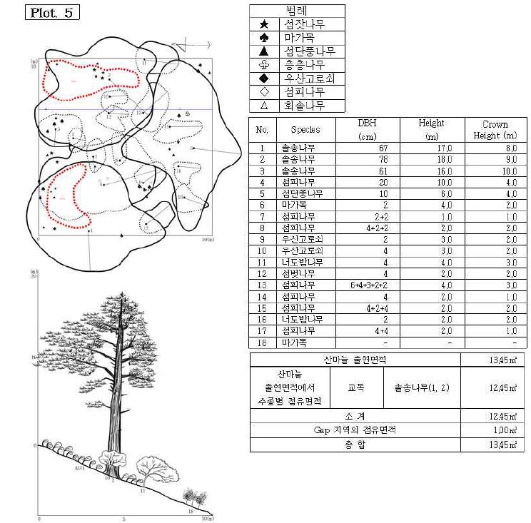 조사지 5의 수관투영도(왼쪽 위) 및 입면도(왼쪽 아래), 조사지에 나타나는 수종의 흉고직 경과 수고(오른쪽 위), 그리고 산마늘 출현면적(오른쪽 아래).