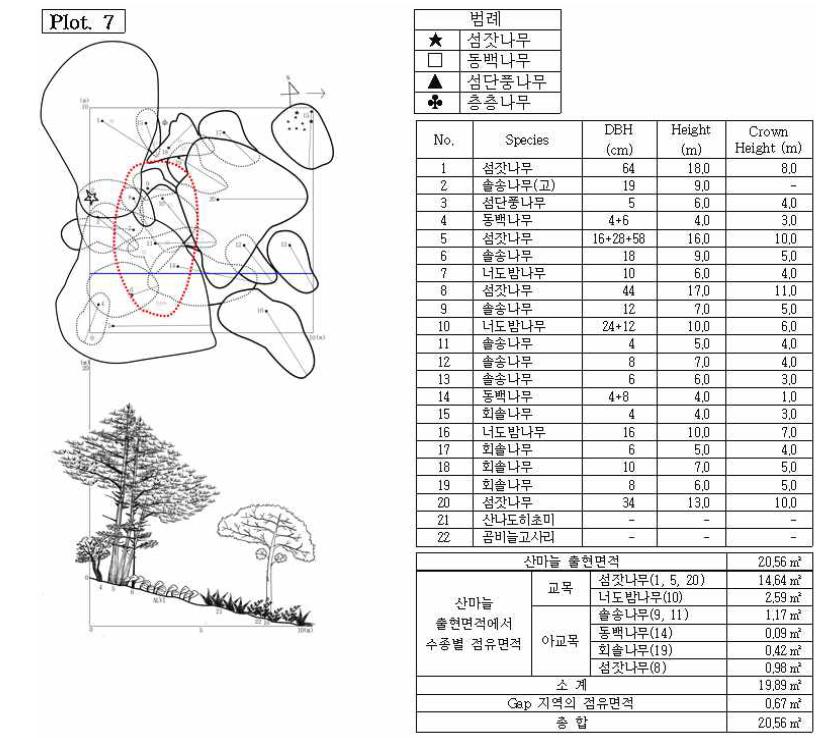 조사지 7의 수관투영도(왼쪽 위) 및 입면도(왼쪽 아래), 조사지에 나타나는 수종의 흉고직 경과 수고(오른쪽 위), 그리고 산마늘 출현면적(오른쪽 아래).