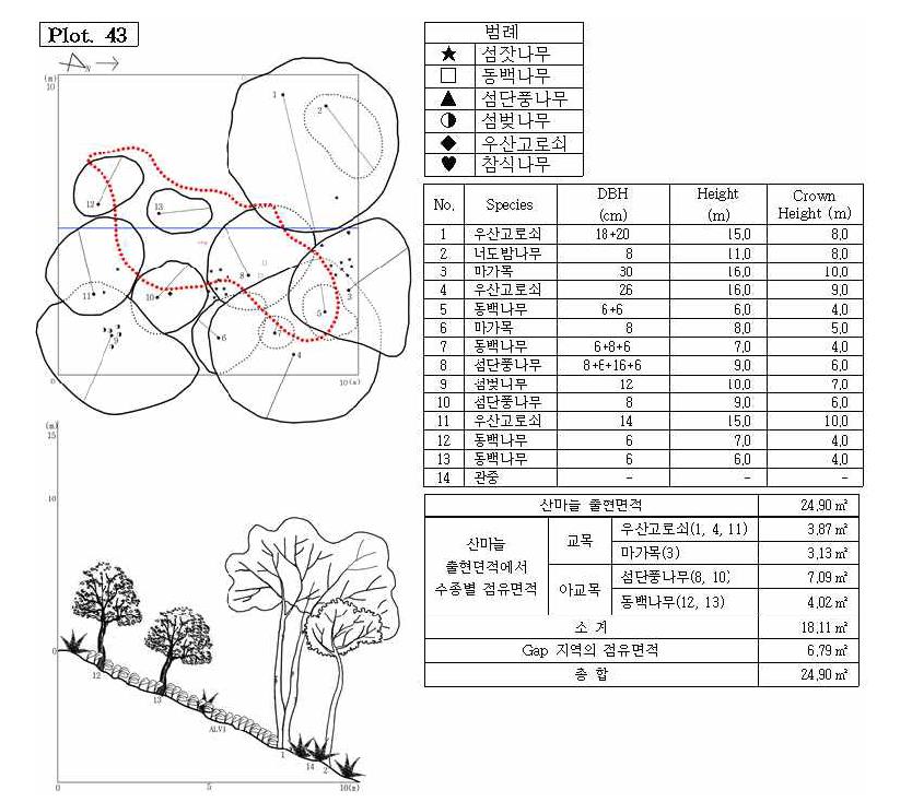 조사지 43의 수관투영도(왼쪽 위) 및 입면도(왼쪽 아래), 조사지에 나타나는 수종의 흉고직 경과 수고(오른쪽 위), 그리고 산마늘 출현면적(오른쪽 아래).