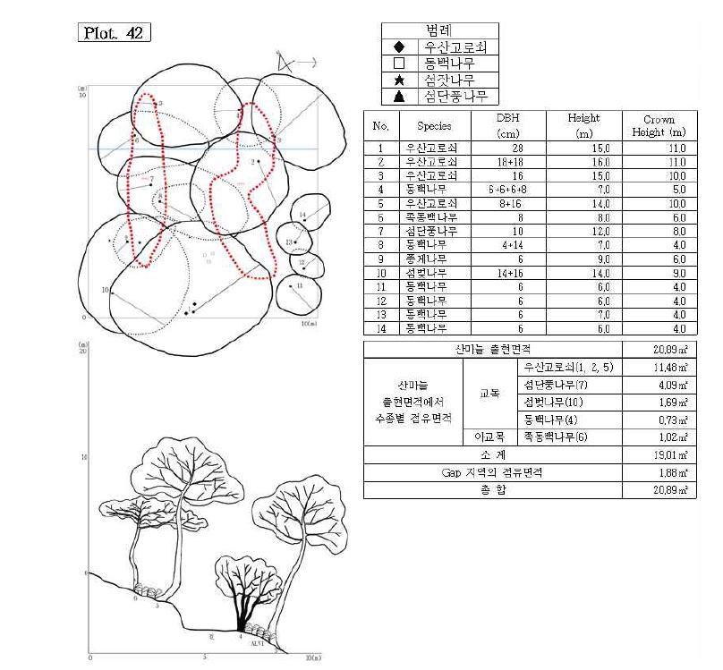 조사지 42의 수관투영도(왼쪽 위) 및 입면도(왼쪽 아래), 조사지에 나타나는 수종의 흉고직 경과 수고(오른쪽 위), 그리고 산마늘 출현면적(오른쪽 아래).