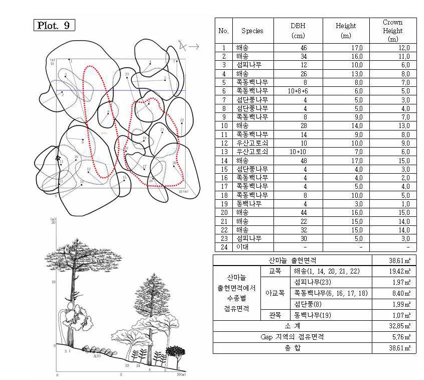 조사지 9의 수관투영도(왼쪽 위) 및 입면도(왼쪽 아래), 조사지에 나타나는 수종의 흉고직 경과 수고(오른쪽 위), 그리고 산마늘 출현면적(오른쪽 아래).